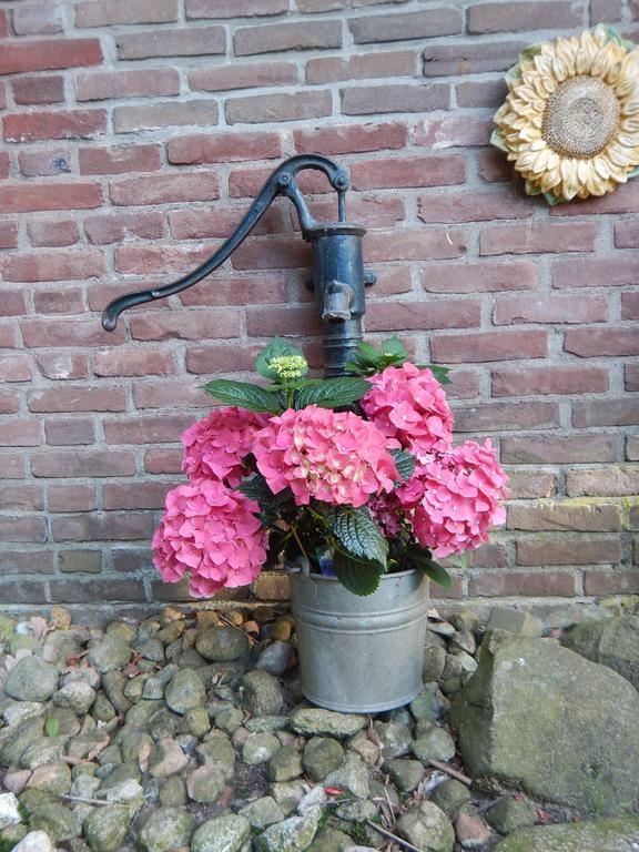 Bed and Breakfast Kozakkenhoeve Dalen Exterior foto