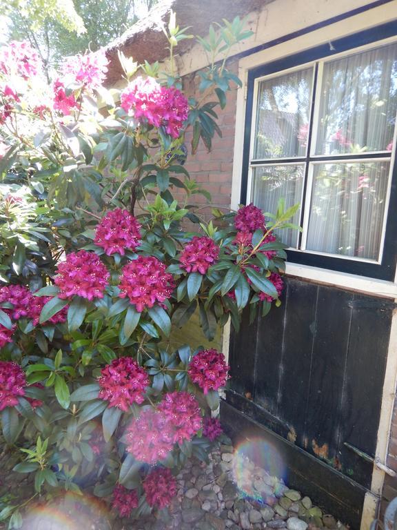 Bed and Breakfast Kozakkenhoeve Dalen Exterior foto
